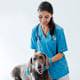 elettroporazione in veterinaria