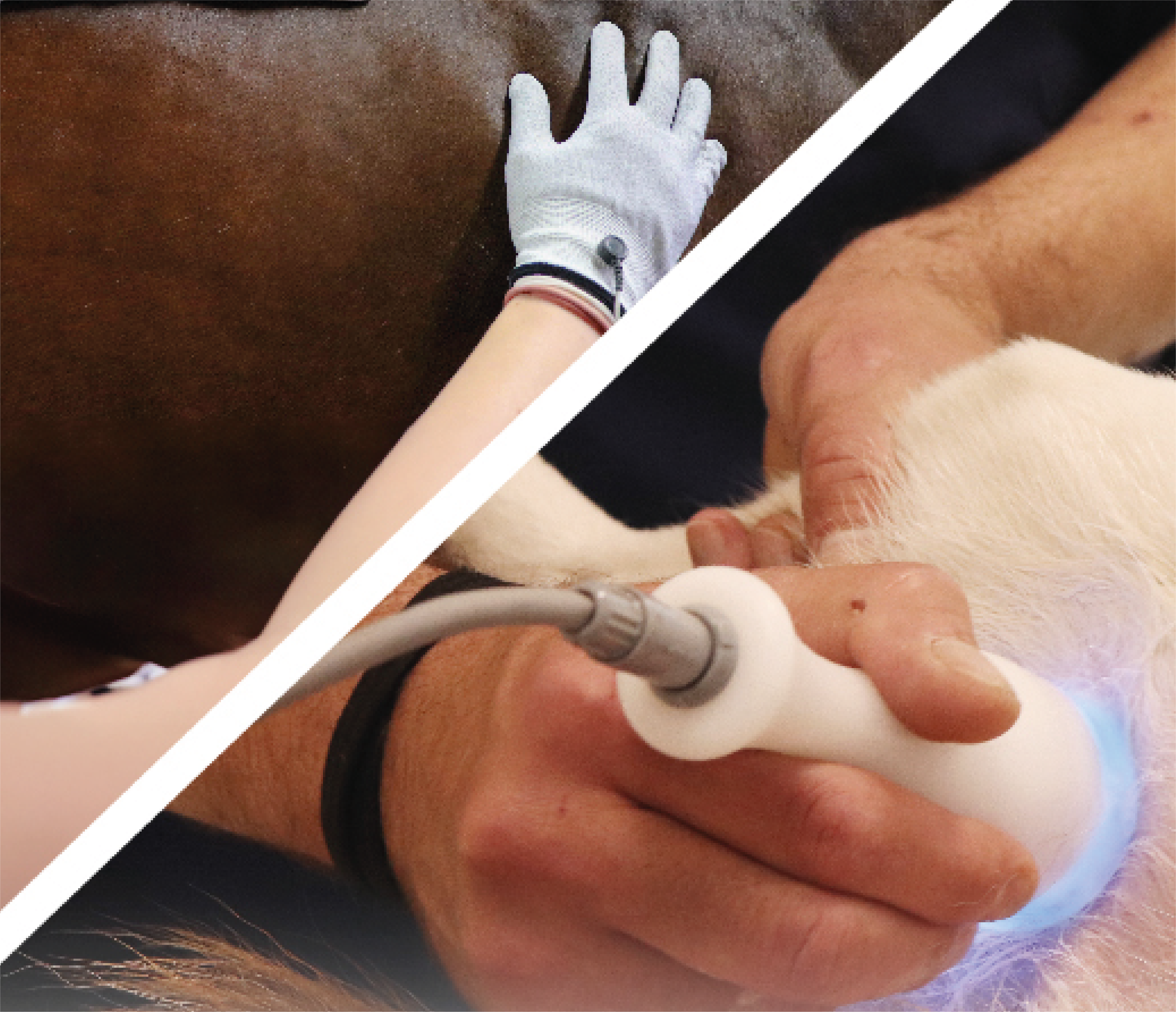 Radiofrequenza e Guanti Elettroconduttivi: come utilizzare le tecnologie innovative nella routine ambulatoriale